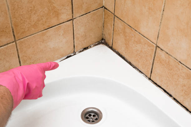 Mold Removal Process in Midtown, TN